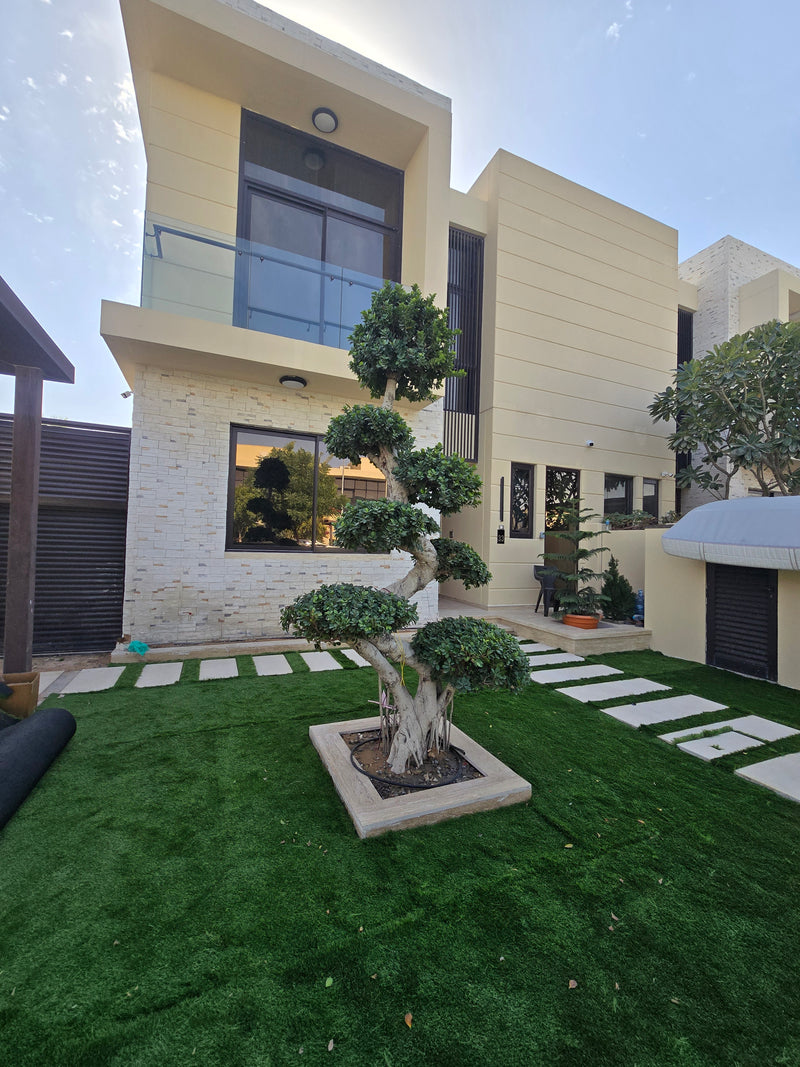 Exterior Paint Service