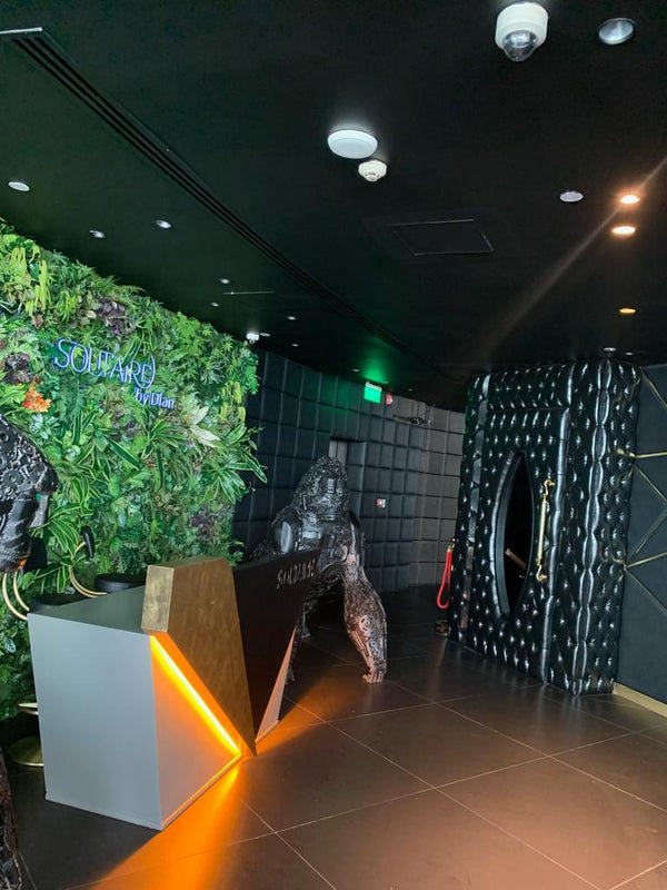 Modern interior with decorative elements and a green wall.